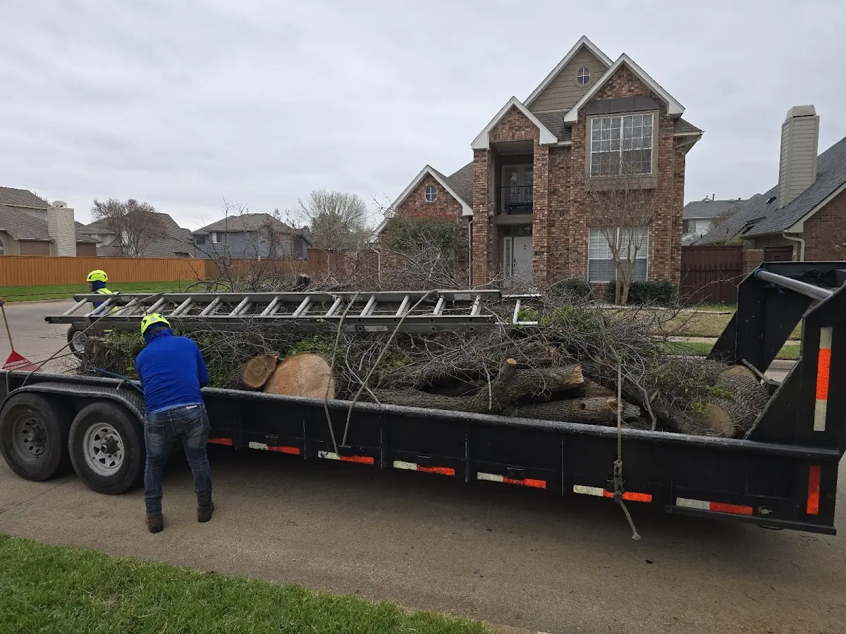 Expert Lot Clearing with proper safety equipment in Altheimer